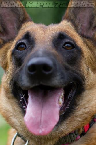 Lana2-small-22062018-