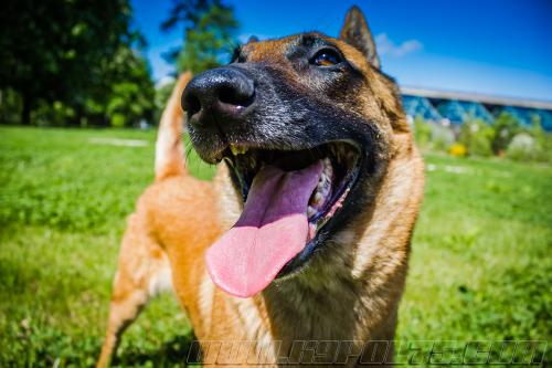 Lana2-small-25042018-