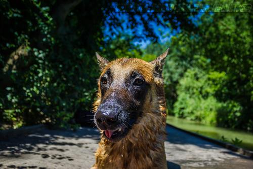 Lana2-small-28062018-