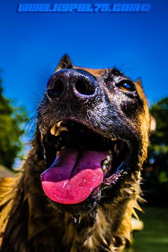 Lana3-1small-26072018