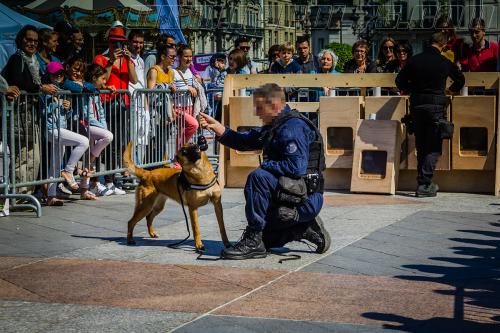 Lana3-small-05052018-