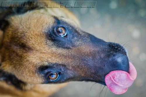 Lana3-small-14042018-