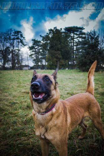 Lana3-small-19012018-