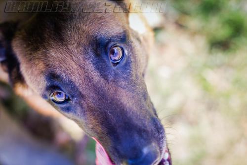 Lana3-small-21032018-