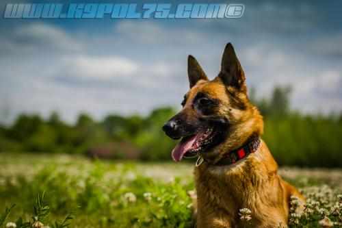 Lana3-small-22062018-