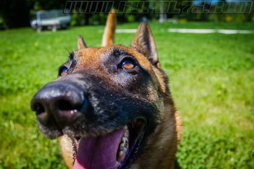 Lana3-small-25042018-