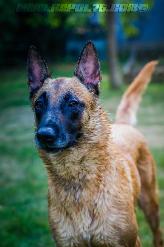 Lana4-04092018-