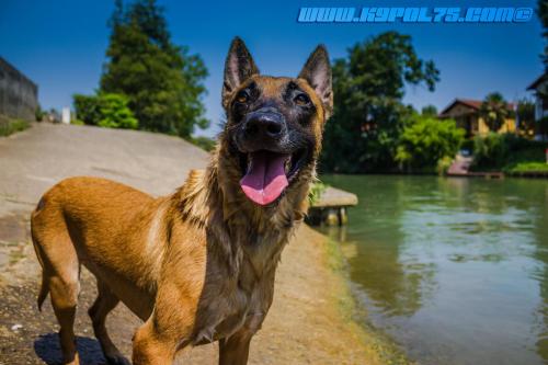 Lana4-1small-26072018