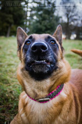 Lana4-small-19012018-