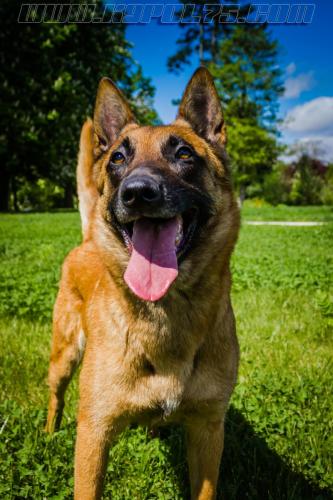 Lana4-small-25042018-