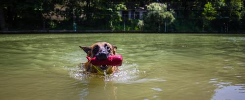 Lana4-small-27062018-