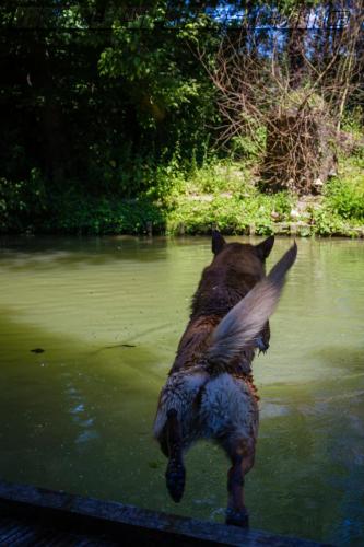 Lana4-small-28062018-