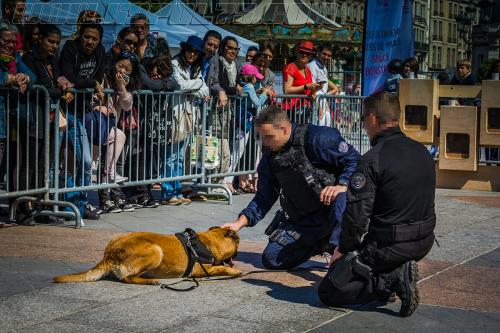 Lana5-small-05052018-