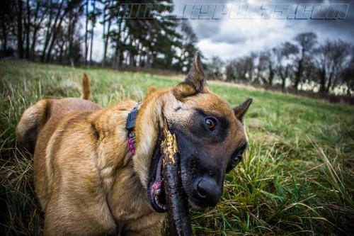 Lana5-small-19012018-