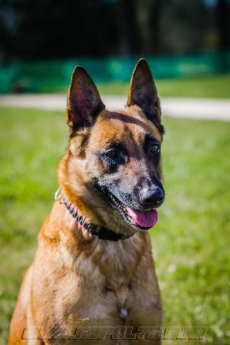 Lana5-small-21032018-