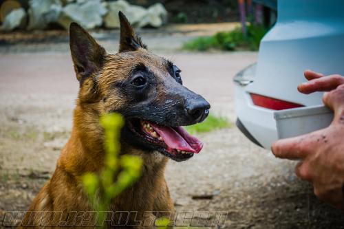 Lana5-small-25042018-