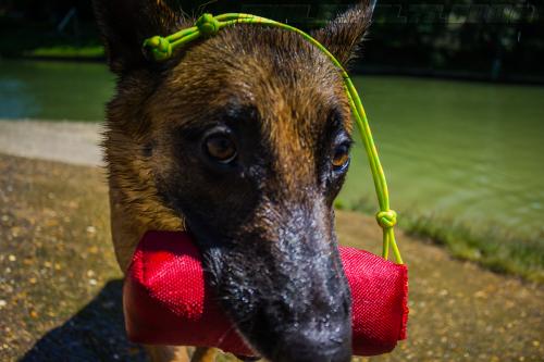 Lana5-small-27062018-