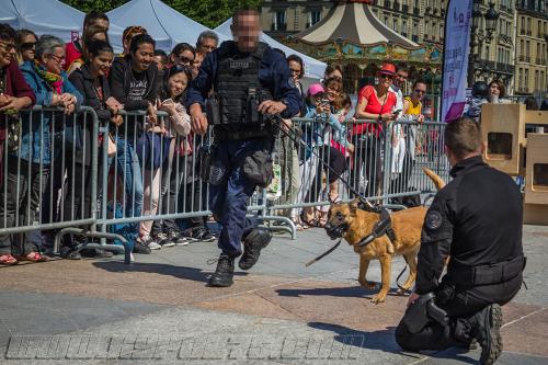 Lana6-small-05052018-