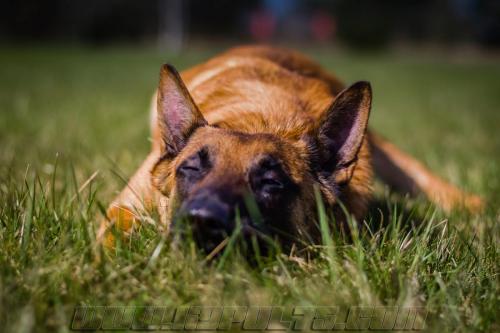 Lana6-small-21032018-