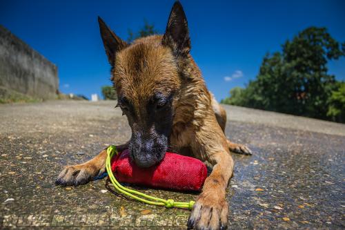 Lana6-small-27062018-