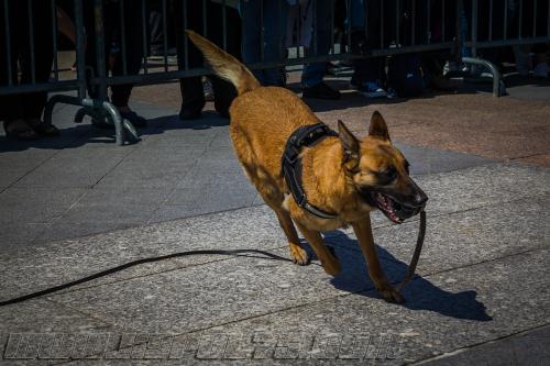 Lana7-small-05052018-