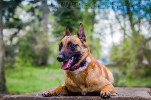 Lana7-small-14042018-