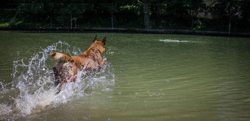 Lana7-small-27062018-