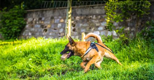 Lana8-small-05052018-