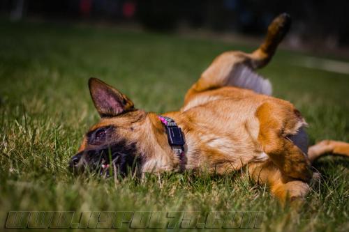 Lana8-small-21032018-