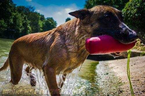 Lana8-small-27062018-