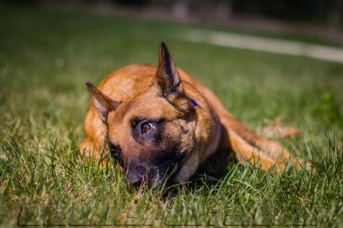 Lana9-small-21032018-