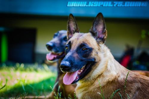 LanaDjim1-BIG-21072018-