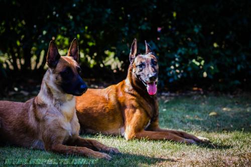 LanaDjim3-BIG-21072018-