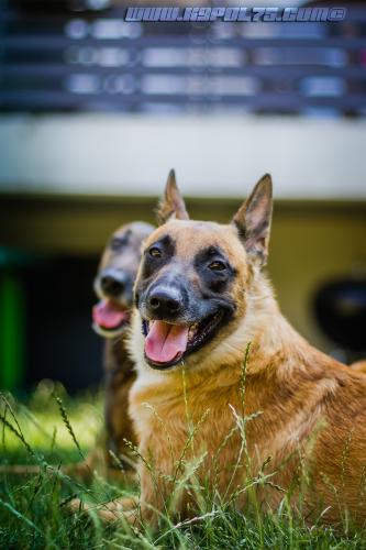 LanaDjim6-BIG-21072018-