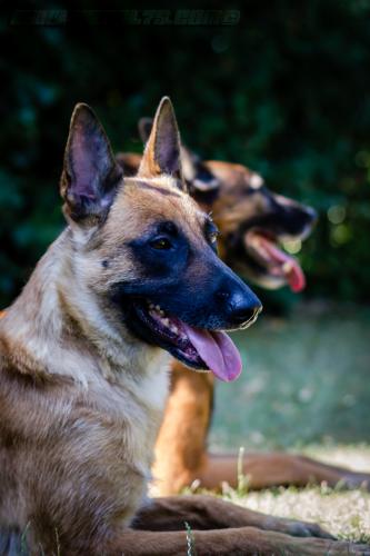 LanaDjim8-BIG-21072018-