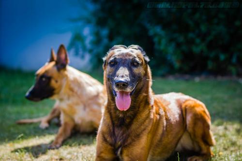 LanaDjim9-BIG-21072018-