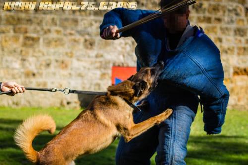 Lancelot1-11092018 (1)