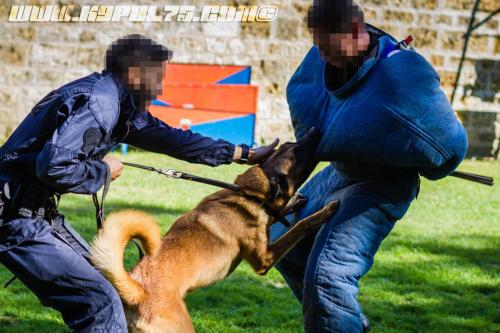 Lancelot2-11092018 1