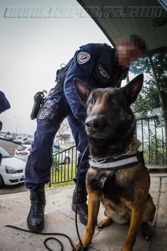 Lenka2-small-09012018-