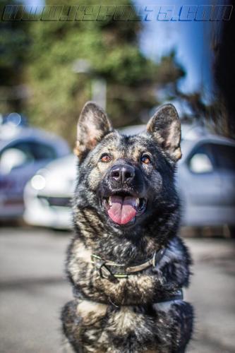 Lenta1-small-14032018-