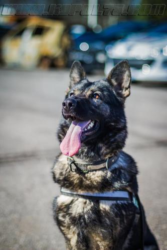 Lenta2-small-14032018-