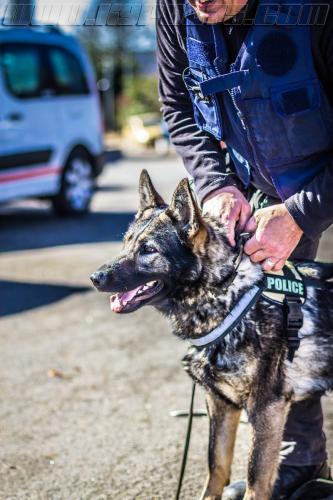 Lenta3-small-14032018-