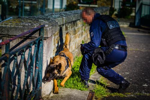 Luna1-small-05052018-