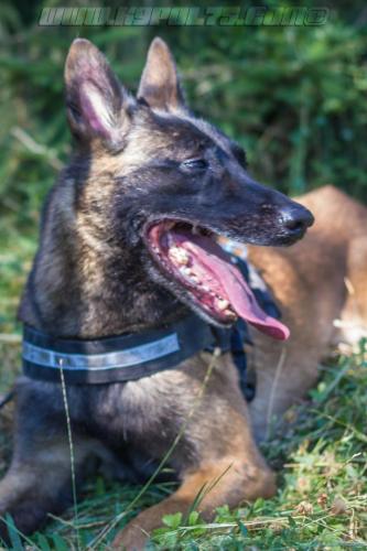 Luna10-Big-28072018-