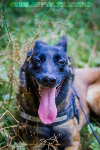 Luna11-Big-28072018-