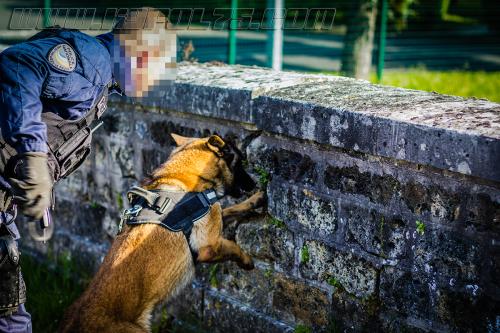 Luna2-small-05052018-