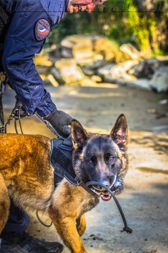 Luna3-small-05052018-