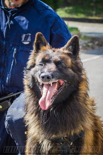 Maxou1-small-21032018-