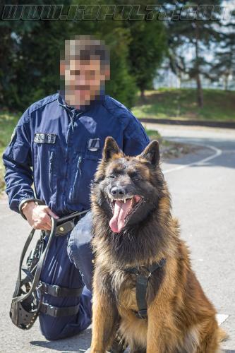 Maxou2-small-21032018-