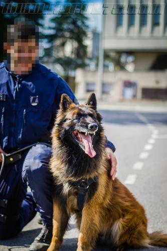 Maxou3-small-21032018-